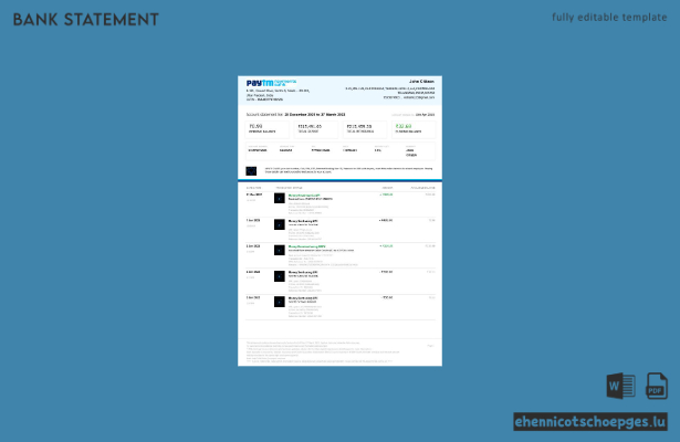 Paytm Payments-Kontoauszug (Indien) – Beispielansicht (1 Seite)